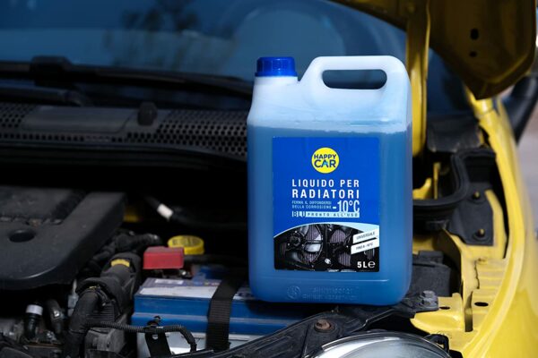 Antigelo Blu Happycar -10°C +104°C - n.4 taniche da 5L cad (20litri) - immagine 4
